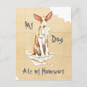 My Ibizan Hound Ate My Homework Postcard