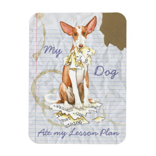 My Ibizan Hound Ate My Lesson Plan Magnet