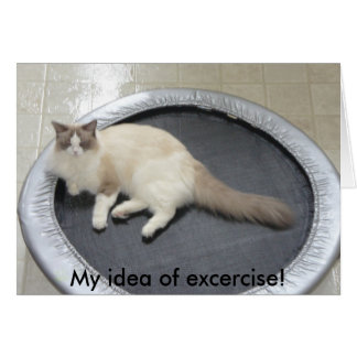 My idea of excercise!