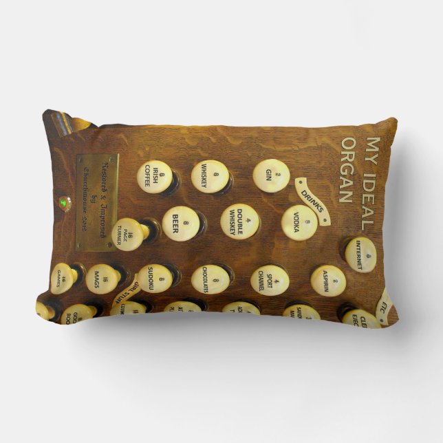 My ideal organ lumbar pillow (Front)