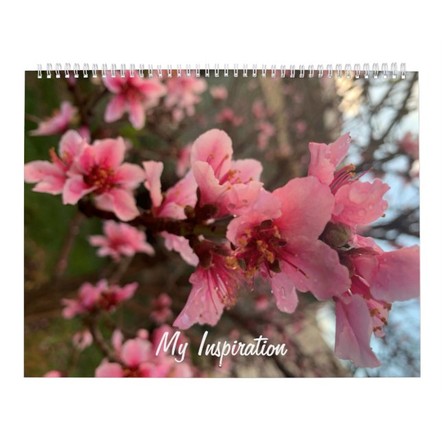 My Inspiration Calendar (Cover)