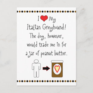 My Italian Greyhound Loves Peanut Butter Postcard