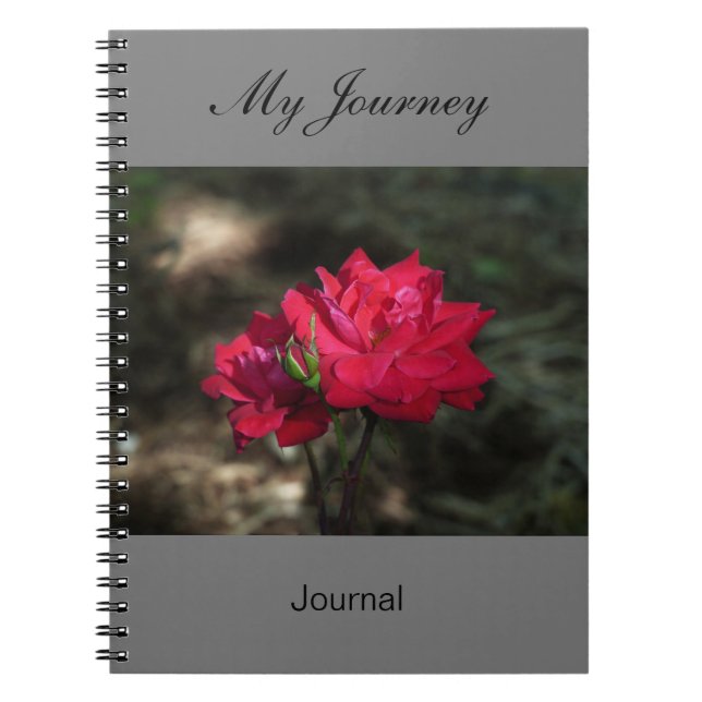 My Journey - journal (Front)