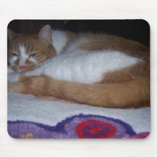 My KITTY!! Mouse Pad