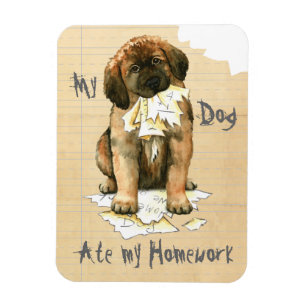 My Leonberger Ate My Homework Magnet