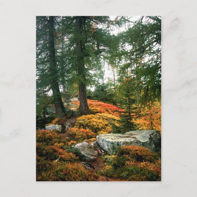 MY LIFE IS NOT THIS VERTICAL HOUR POSTCARD (Front)