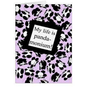 My life is panda-monium - Lilac