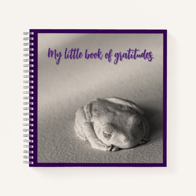 My Little Book of Gratitudes. (Front)