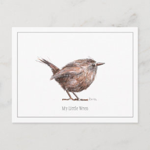 'My Little Wren' Postcard