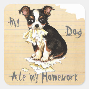 My Long Coat Chihuahua Ate My Homework Square Sticker