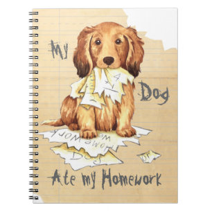 My Longhaired Dachshund Ate my Homework Notebook