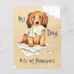 My Longhaired Dachshund Ate my Homework Postcard