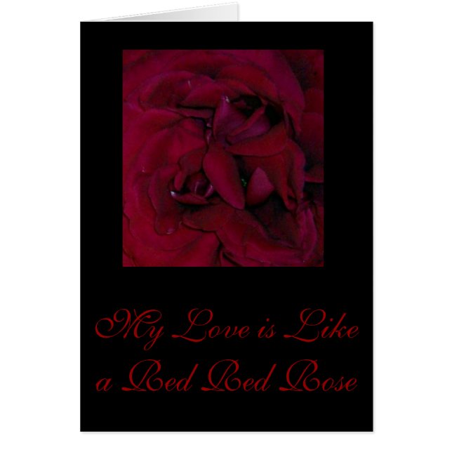 My Love is Like a Red Red Rose (Front)