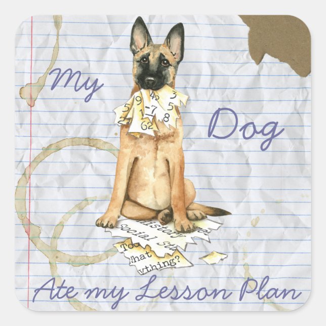 My Malinois Ate My Lesson Plan Square Sticker (Front)