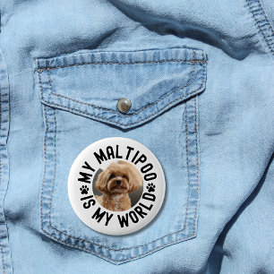My Maltipoo Is My World Custom Pet Photo 2 Inch Round Button
