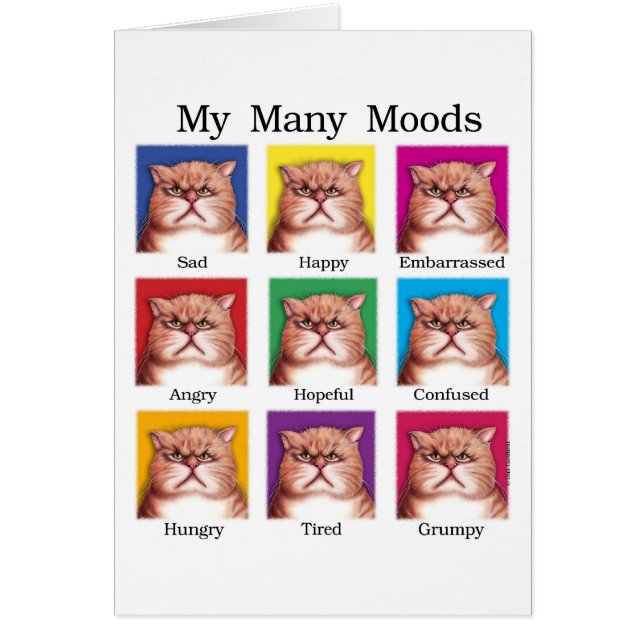 My Many Moods (Front)