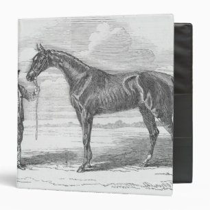 My Mary', winner of the Yorkshire Handicap Binder