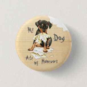 My Min Pin Ate My Homework