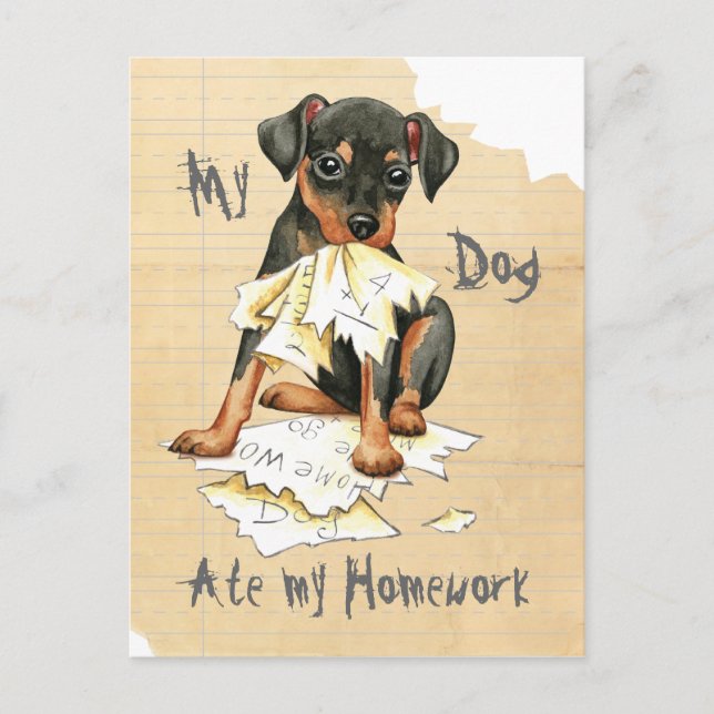 My Min Pin Ate My Homework Postcard (Front)