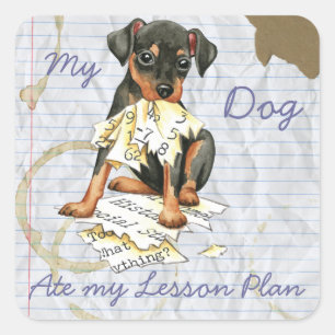 My Min Pin Ate my Lesson Plan Square Sticker