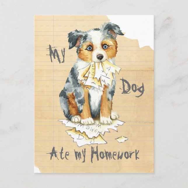 My Mini American Shepherd Ate My Homework Postcard (Front)