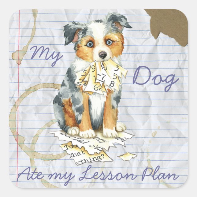 My Mini American Shepherd Ate My Lesson Plan Square Sticker (Front)