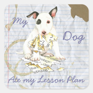 My Miniature Bull Terrier Ate my Lesson Plan Square Sticker