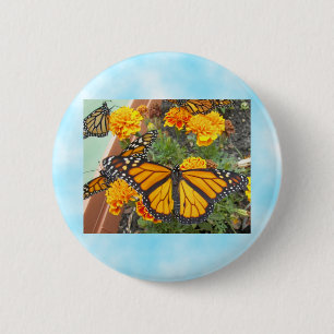 My Monarch Butterflies-button 2 Inch Round Button
