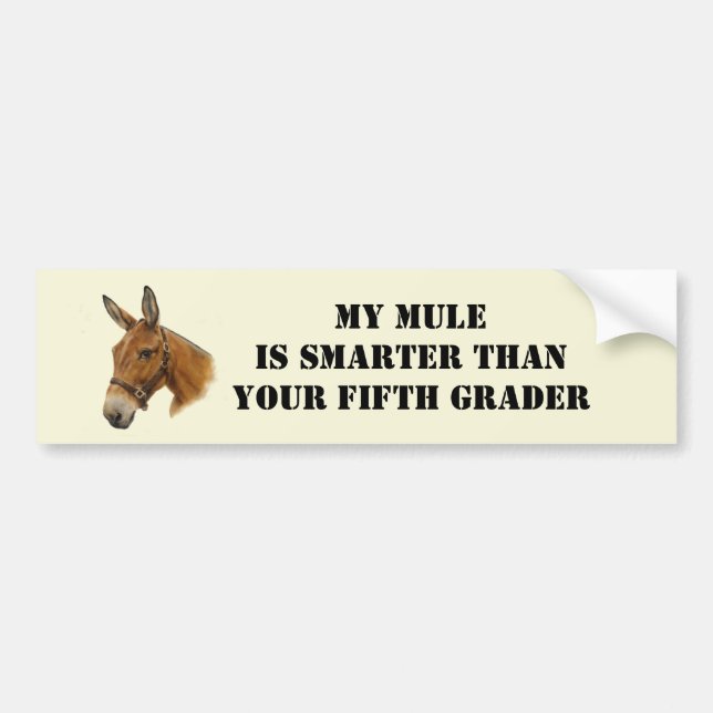 My Mule is Smarter Bumper Sticker (Front)