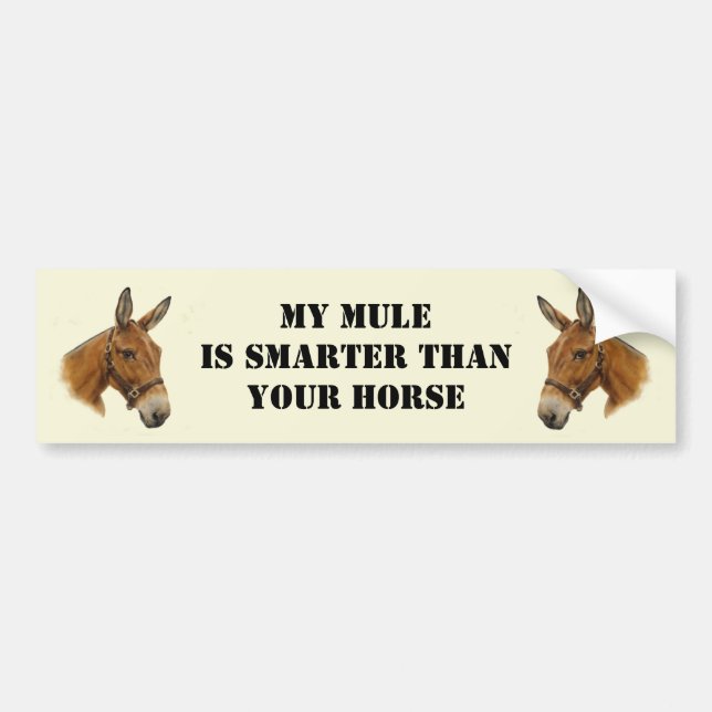 My Mule is Smarter than Your Horse Bumper Sticker (Front)