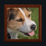 My Name is Skitch Gift Box<br><div class="desc">Parson Jack Russell Terrier Gift Box Custom Gift Box Designs by Janz © 2011 Jan Fitzgerald. All rights reserved. Janz Fine Art Studio features Design, Artwork & Photography by Jan & Michael Fitzgerald. Customize this Design with your choice of font, font colour, text & wording. Please feel free to contact...</div>