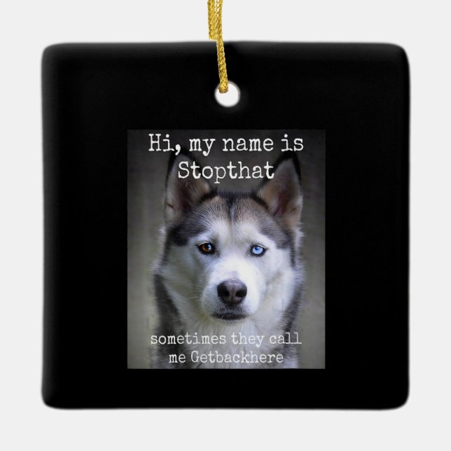 My Name Is Stop that Funny Hyper Siberian Husky Ceramic Ornament (Front)