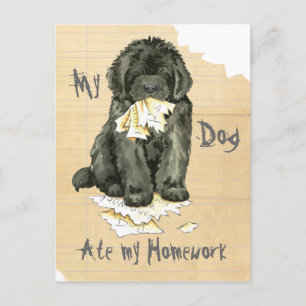 My Newfoundland Ate My Homework Postcard