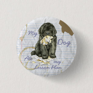 My Newfoundland Ate my Lesson Plan 1 Inch Round Button