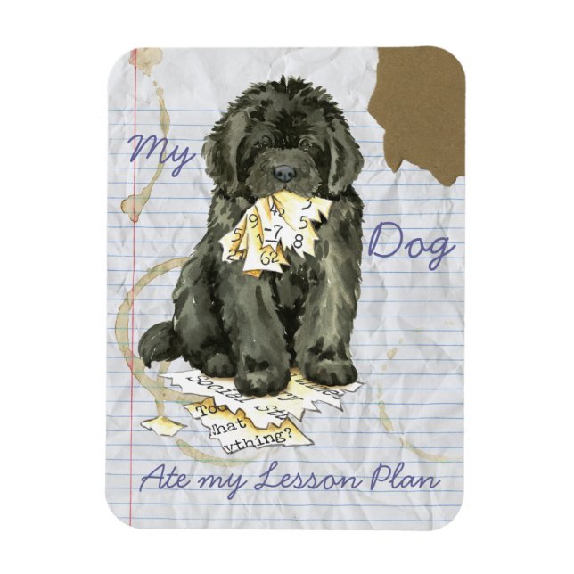 My Newfoundland Ate my Lesson Plan Magnet (Vertical)
