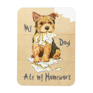 My Norwich Terrier Ate my Homework Magnet