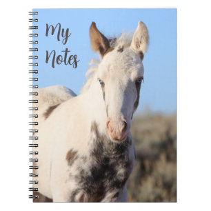 My Notes Wild Horse Thora Notebook