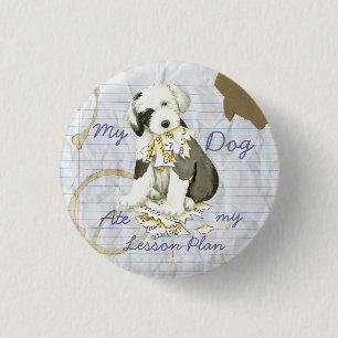 My Old English Sheepdog Ate my Lesson Plan 1 Inch Round Button