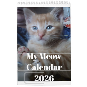 My Own Cat Photo Quotes Customize Fun Calendar