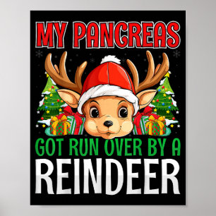 My Pancreas Got Run Over By A Reindeer - Christmas Poster