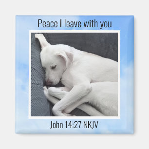 My Peace I Give You Bible Verse Dog in Blue Sky Magnet