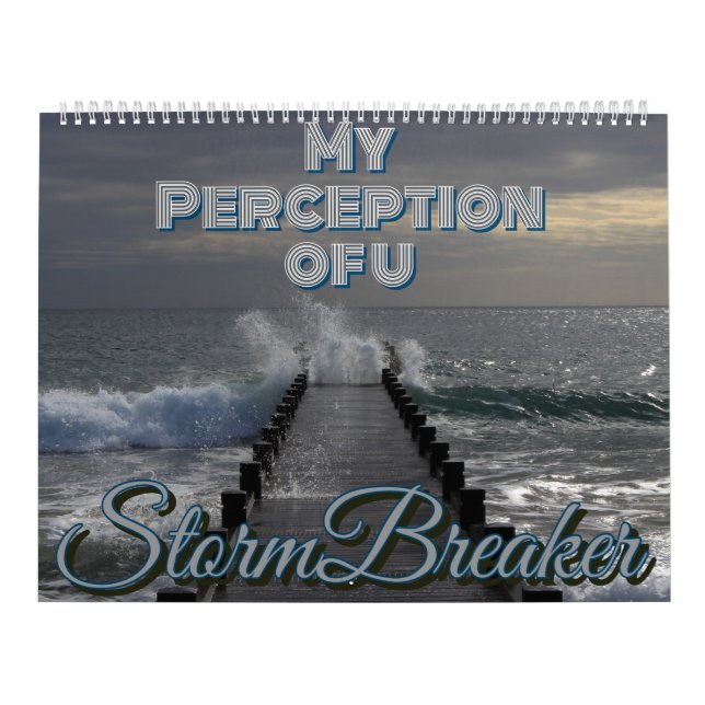 My Perception of u Calendar (Cover)