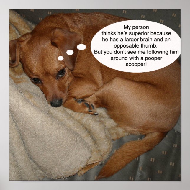 My person thinks he’s superior because poster (Front)