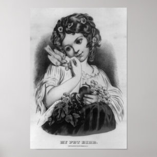 My Pet Bird Black and White Poster