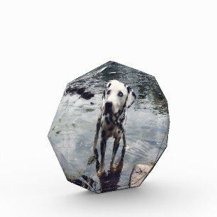 My Pet Friend Upload Your Image Custom Octagonal Photo Block
