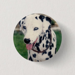 My Pet Friend Upload Your Own Photo Custom  1 Inch Round Button