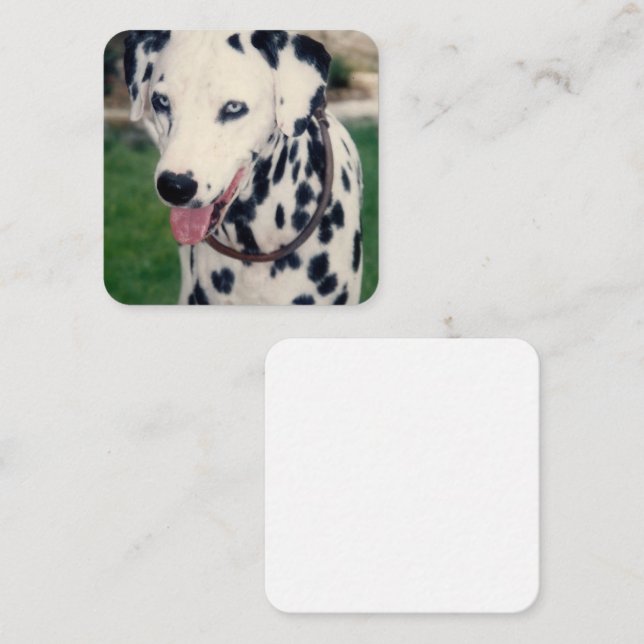 My Pet Friend Upload Your Own Photo Custom Card (Front/Back)