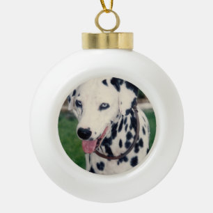 My Pet Friend Upload Your Own Photo Custom Ceramic Ball Christmas Ornament