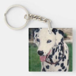 My Pet Friend Upload Your Own Photo Custom  Keychain