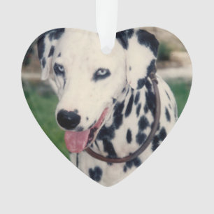 My Pet Friend Upload Your Own Photo Custom Ornament